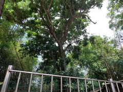 -洞背山庄(洞背院区式管理小区店)