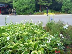 -北陵公园