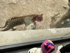 -济南野生动物世界