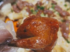 -石岐乳鸽村(南海第三分店)