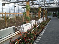 -陆地游轮吉林神农温泉