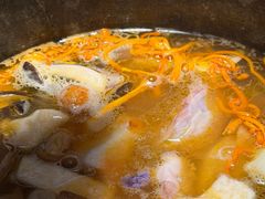 -芸山季·云南山珍菌火锅(人民广场来福士店)