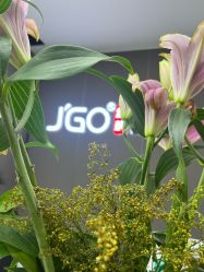 -JGO·烫染接发