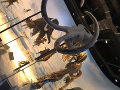 -辽宁古生物博物馆
