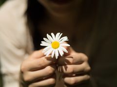 -合肥滨湖国家森林公园