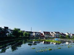-金山嘴渔村