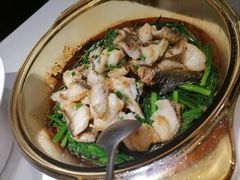 香葱焗石斑鱼-尚一汤 广东炖汤(金桥国际店)