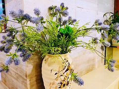 -云中鱼蒸汽石锅鱼(川沙百联店)