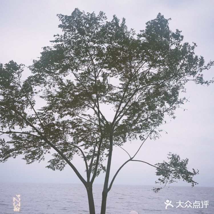 周末自驾旅游｜拍照打卡绝美咖啡厅☕苏州太湖