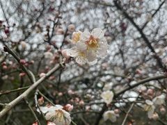 -天目湖涵田度假村
