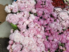 -循礼门鲜花花市(武汉循礼门店)