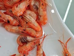 -八仔大富楼·河鲜(西江店)