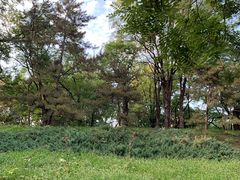 -元大都城垣遗址公园