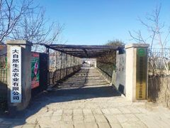 -大自然农场蔬菜草莓采摘园