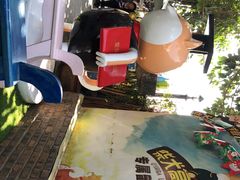 -柴犬高等学院·狗咖·柴犬售卖·宠物训练