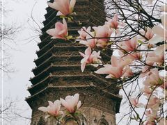 -玲珑塔公园