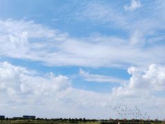 -南大港湿地风景区