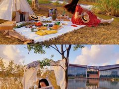 -上海长兴岛郊野公园