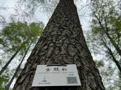 -杭州植物园