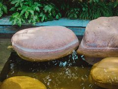 -天目湖御水温泉·度假酒店