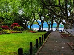 -楼外楼(西湖景区孤山路店)