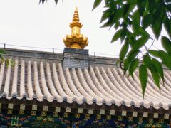 -护国法轮寺