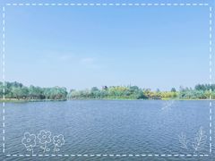 -东郊湿地公园