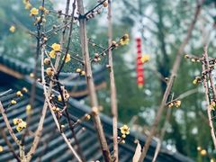 -杭州上天竺法喜讲寺