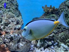 -横店影视城梦幻谷园区