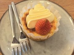 -Wagas沃歌斯(枫蓝国际店)