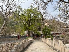 -北京凤凰岭