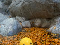-湖泉半山温泉