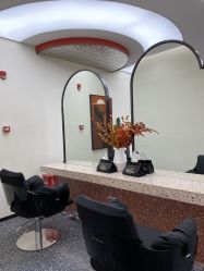 -IP SALON