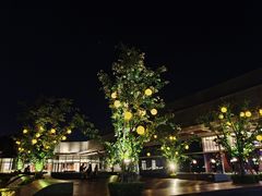 -映水芙蓉(上海万象城店)