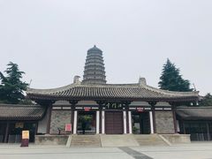 -西安青龙寺遗址景区