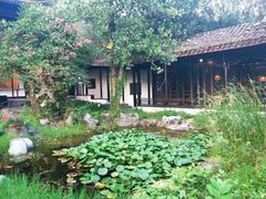 -日出青木·杭帮菜名店