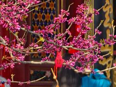 -西安市广仁寺
