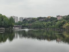 -重庆彩云湖湿地公园