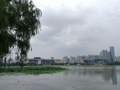 -月湖风景区