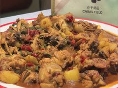 -农夫大盘鸡(经八路总店)