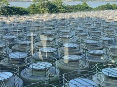 -厨邦酱油文化博览馆