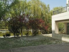 -南京医科大学(江宁校区)