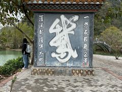 -靖西鹅泉风景区