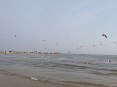 -老虎石海上公园