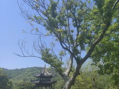 -龙寺生态园