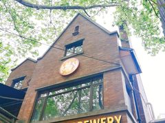 -Boxing Cat Brewery拳击猫精酿啤酒馆(永福店)