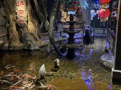 -台州海洋世界