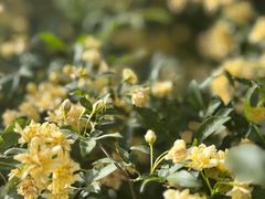 -时间仓(月湖公园店)