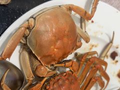 -东方红海鲜百汇(国际大厦店)