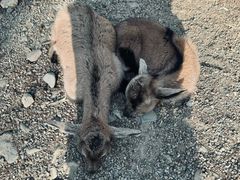 -关门山森林公园